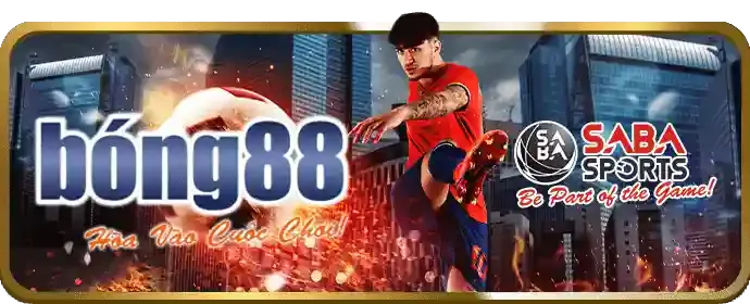 Đội ngũ hỗ trợ chuyên nghiệp của bot88 chính thức